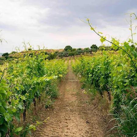 Judeka Agriresort منتجع كالتاجيروني