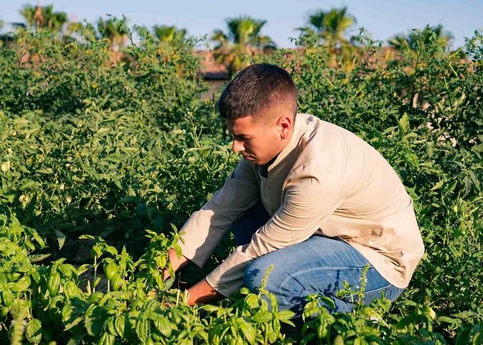 Judeka Agriresort Rezort