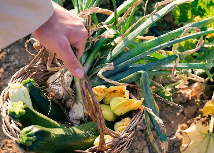 Judeka Agriresort Caltagirone