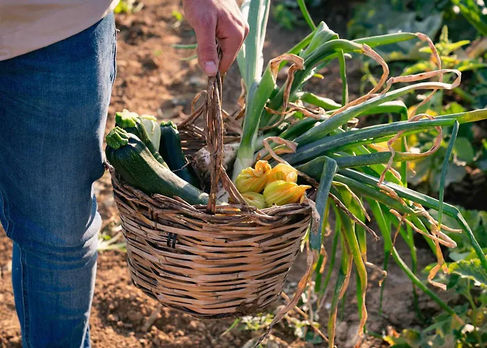 Rezort Judeka Agriresort *