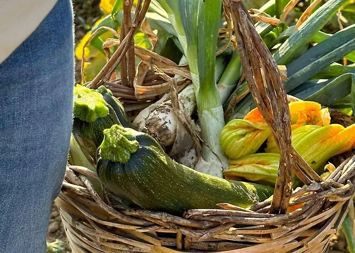 Judeka Agriresort Caltagirone