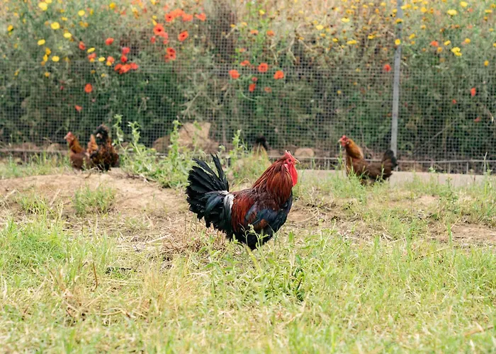 Judeka Agriresort * Caltagirone