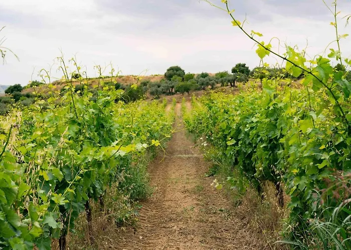 Judeka Agriresort Rezort Caltagirone